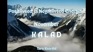 Taro Energiad November KALAD