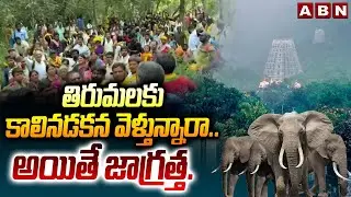 తిరుమలకు కాలినడకన వెళ్తున్నారా..అయితే జాగ్రత్త..| Tirumala Tirupati Temple | ABN Telugu