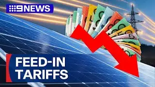 Aussie homes with solar panels see fall in energy retailer payments | 9 News Australia