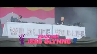 WILD LIFE FESTIVAL 2017 FULL LINE UP ANNOUNCED!