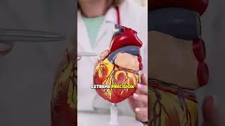 Heart Surgery #heartvalvereplacementinfo #healthbuzz #surgicallearning #wellnesstips #heartprocedure