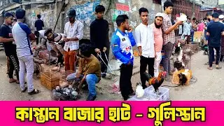 ৩০-০১-২৬ কাপ্তান বাজার হাট। ফেন্সি মুরগির দাম। ফেন্সি মুরগির বাচ্চার দাম।গুলিস্তান হাট। Kaptan bazar