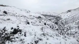 Traversing Sychnant Pass - 05-01-2025