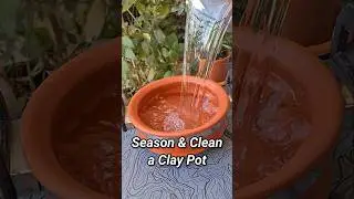 How To Season & Clean a Clay Pot? #shorts
