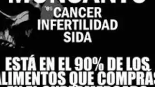 transgenicos