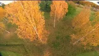 DemonRC Aura - Raceflight - 5s - Autumn color splashdown!