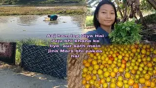Mummy Ka Saath Fishing Kiya || jujube Collect Kiya