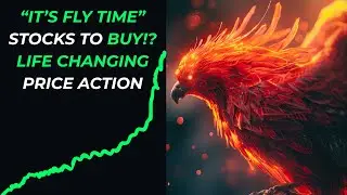 STOCKS TO BUY!? SUMMER SUPERNOVA SEASON IS HERE! 1000%+ Runner