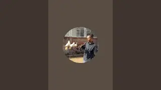 Arvind  Raval is live!,. 26 जनवरी की हार्दिक शुभकामनाएं दोस्तों गुड मॉर्निंग 