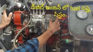 fuel supply system diesel engine ( C I )