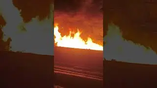 CID ke company mein Rola 😂#shortsviral #fire #shortsviral #shortvideos