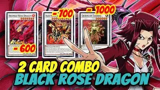 🔥2 CARD COMBO BLACK ROSE DRAGON WITH NEW SUPPORT! YU-GI-OH! MDPRO3