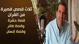 ثلاث قصص قصيرة من القرآن | ضرب الله بهم مثلا لتوصل هذه الرسالة ..؟ .. قصة حشرة وقصة طائر وقصة انسان
