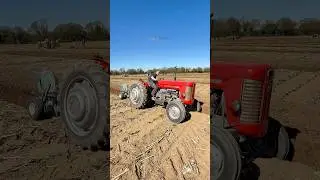 Massey Ferguson 65 Tractor at a Ploughing Match #ploughing