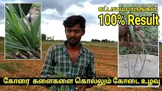 கோரை களைகளை கொல்லும் கோடை உழவு  | இயற்கை விவசாயம்  | NammaooruGoogle