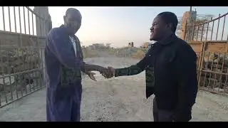 700 pigs on one farm in Kenya PART 1 #ivankimulikigozi #happyfarmersug #kenya