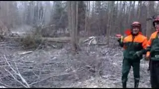 Лесорубы (часть 2) :D.mp4