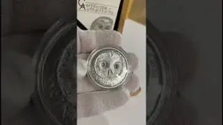 ​🇲🇳 The Crystal-Eyed Owl / The Crystal-Eyed Owl