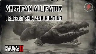 RDR2 - American Alligator Perfect Skin and Hunting Guide