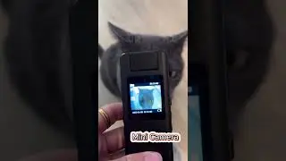 Boblov Body Camera A22  #camera #boblov #cat #record #bodycamera  #pets  #video #cats