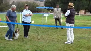 Karleen and Happy - figure 8