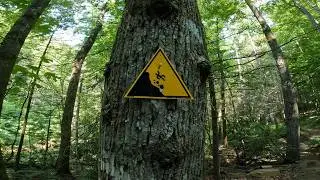 Long Way Down