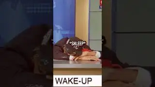 Тота спит в свой первый день работы репортёром новостей 🤣