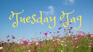 My Weight Loss Journey | Tuesday Tag