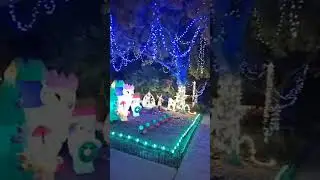 Synchronized lights Bluebonnet street #music #fun 