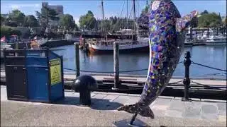 Expat Shaun Shows Us Victoria Vancouver Island
