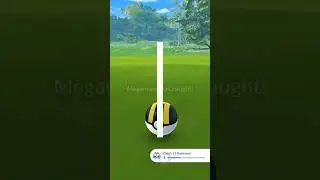 Rare find, Random wild Meganium!