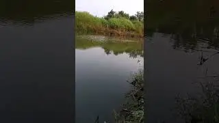 mancing mania.. #bmfc