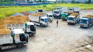 Ep20.Nicely New Update The Project Using Mini Trucks Transporting Soil Strong Dozer Pushing