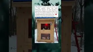 Man Builds Cozy Shelter For Stray Cats To Survive Harsh Winter
