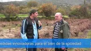 Candidín Navidad 2013