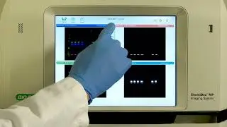 Quick Tips: Targeting Area of Interest for Auto Exposure in Image Lab Touch Software