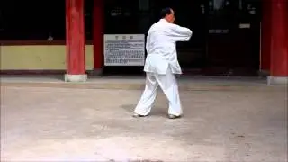 孙式太极拳九十八式