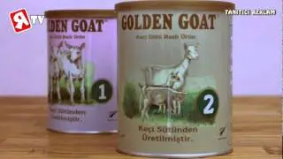 GOLDEN GOAT