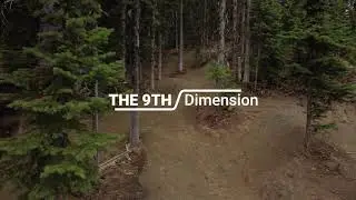 Discover the Ninth Dimension