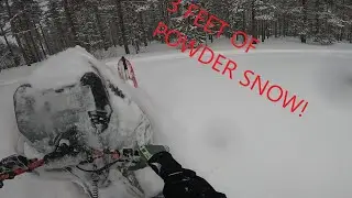 Deepest Powder of The Season! | Lynx Shredder 3700Re Turbo