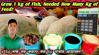 how to use fish food | grow 1 kg of fish needed how many kg of feed |fish farming method #fishinfo