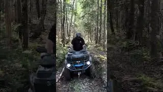 Downeast Sunrise ATV trail, Maine USA compilation￼