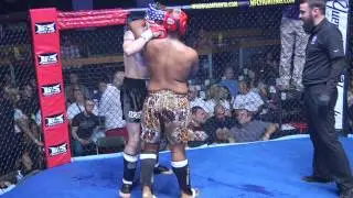 Miller v Williams HD
