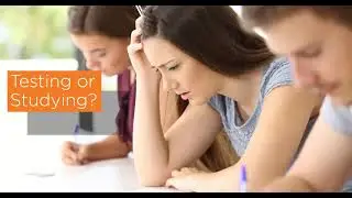 Strengthen Your Compliance Culture Through Continuous Learning