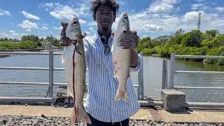 💢‼️Village Boy's Caught Massive Mullet Fish At Damaged Fiber Boat ⁉️