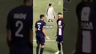 Achraf Hakimi's Penguin Celebration #football #shorts