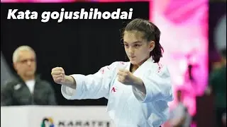 Training karate kata gojushihodai shotokan style . Anil Shariatpanahi and grand master nekoofar