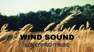 WIND SOUND | NO COPYRIGHT MUSICS | SOUND EFFECTS | SOUND CAPTURE @SoundCapture