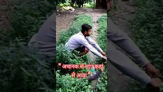 😂 Fake Snake Attack with Friend | Comedy Shorts | Funny Video #funny #thebrokensoul1904 #shorts
