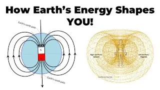 How Earth's Magnetic Field Shapes Your Energy | Qi Coil Secrets Revealed!